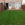 Rear garden finished with stepping stones
